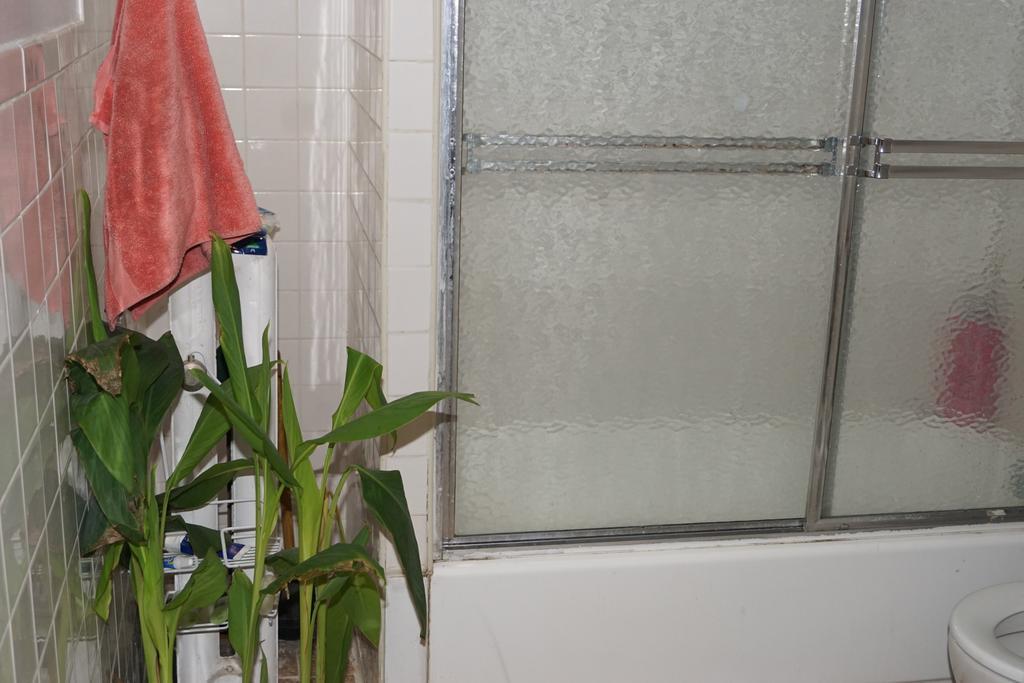 John 3 16 Christian Appartement